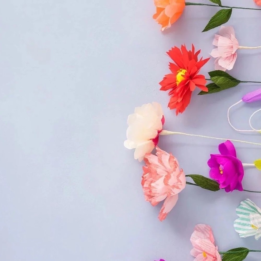 Meet your Posher, Alejandra